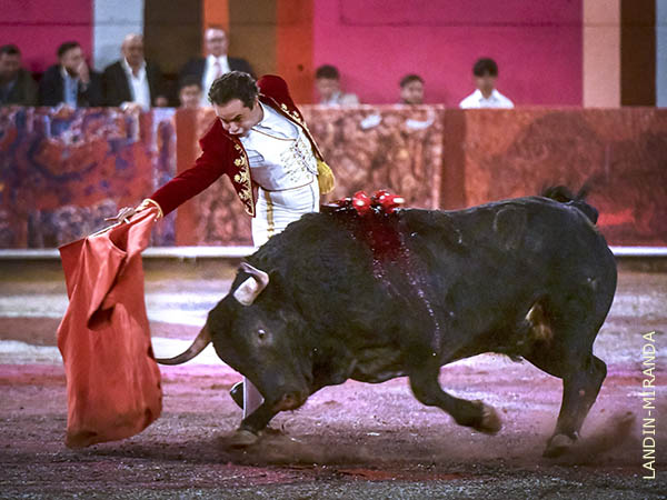 Faena de esfuerzo