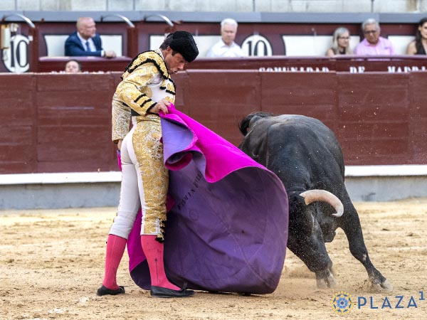 Cuarto sobrero de San Mart�n