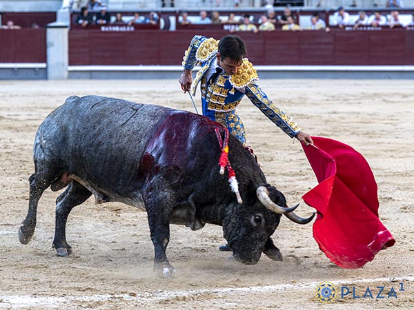 Se qued� sin opciones