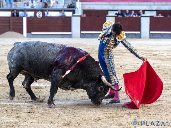 G�mez del Pilar lo intent�