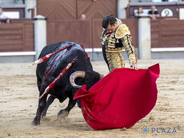 Pit�n izquierdo
