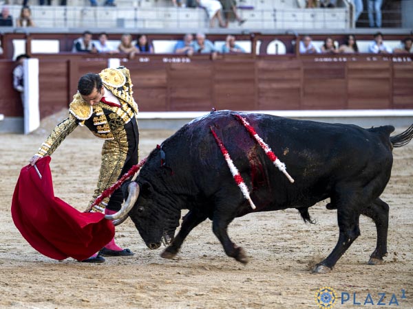 Cierta nobleza