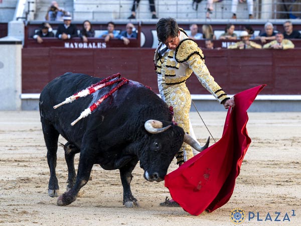 Izquierda potosina