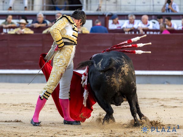 Tirando del c�rdeno