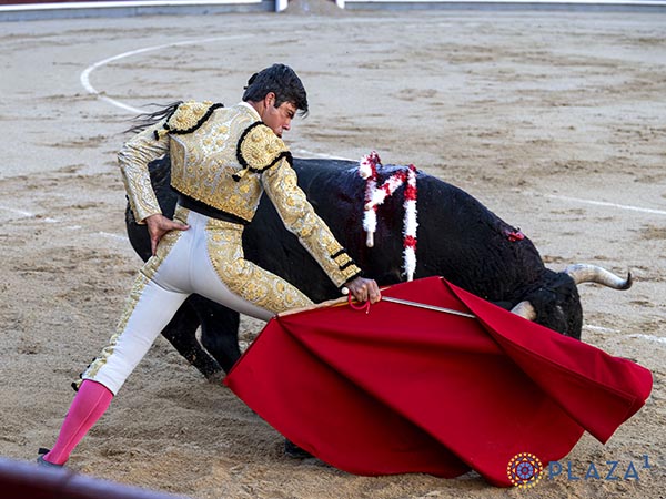 Haci�ndose del ejemplar