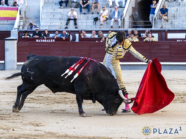 Rozando la arena