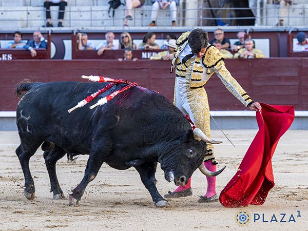 Mirada de codicia