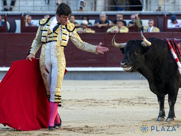Par�ntesis en la lidia