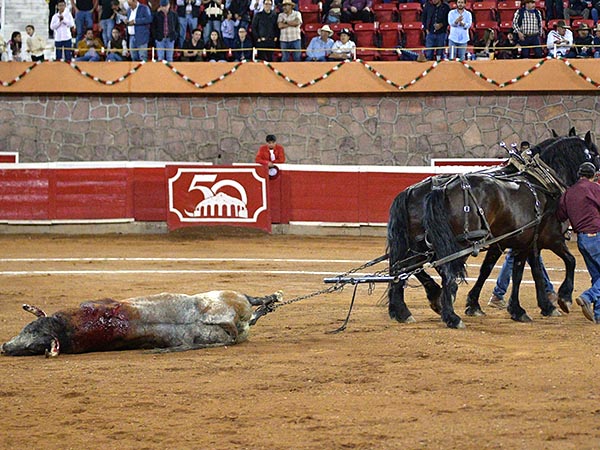 Palmas y arrastre lento al 
