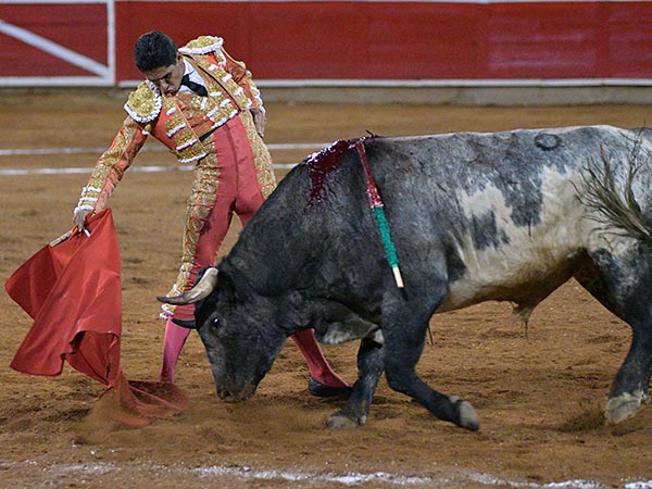 Un berrendo en c�rdeno de finas hechuras