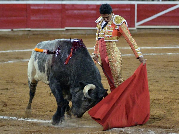 H�ctor, sentimiento a flor de piel