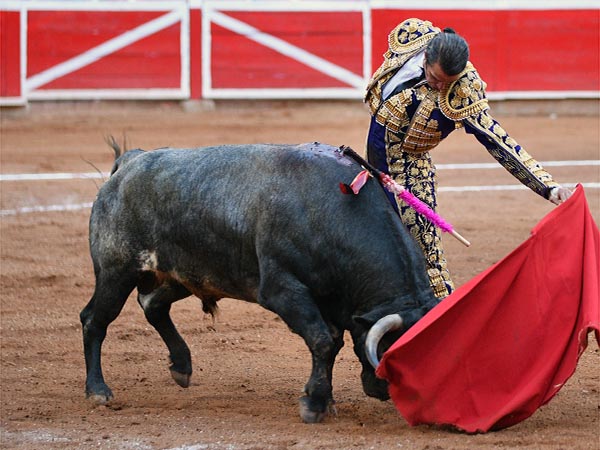 HIlvan� muletazos de gran calidad