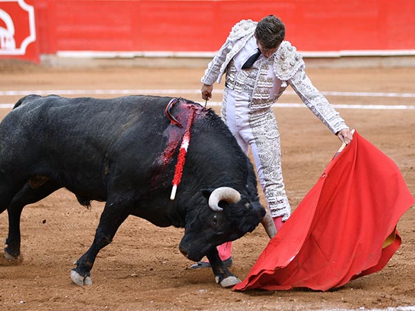 Aroma de gran torero