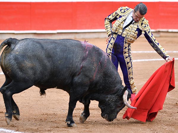 Deletre� el toreo