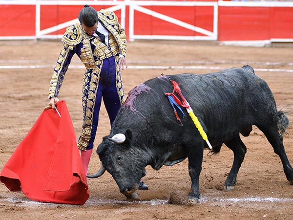 Tersas tandas por ambos pitones