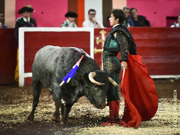 Colof�n de una larga faena