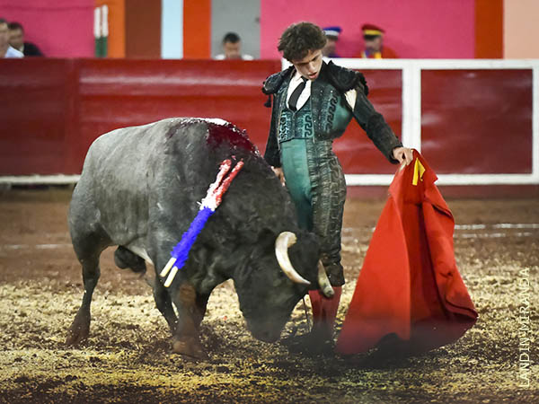 Bravo y noble