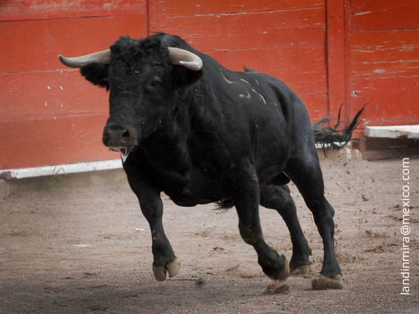 La presencia del encierro