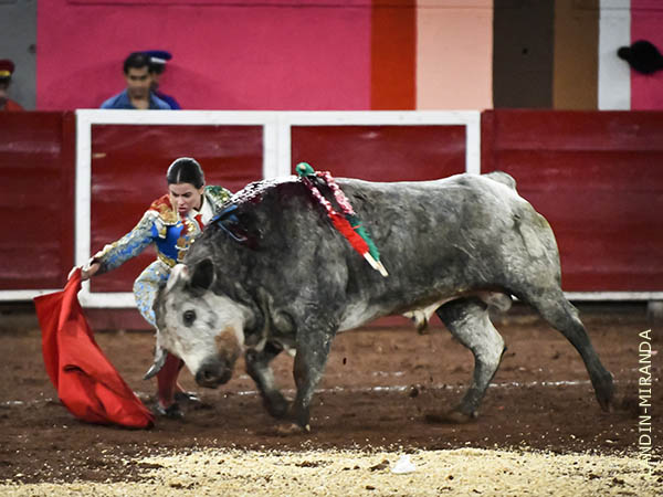 Primeros pases al c�rdeno