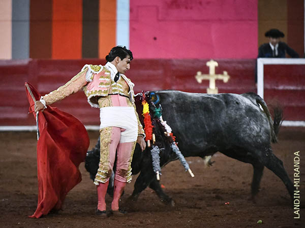 Valiente torero hidroc�lido