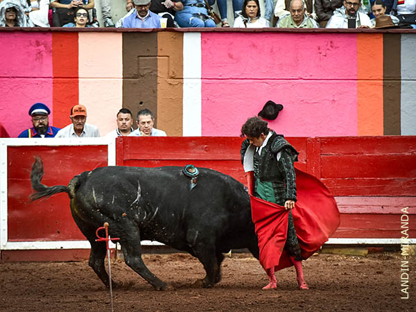 Chicuelina con la muleta