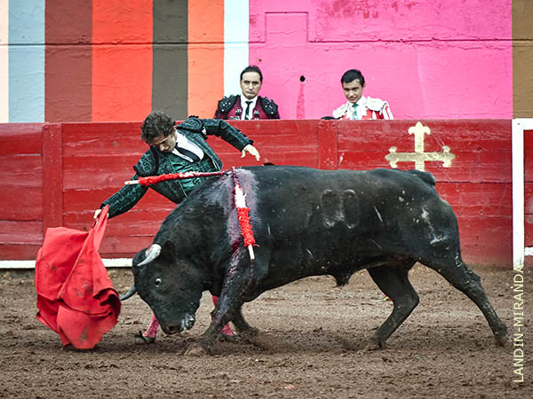 De trazo largo