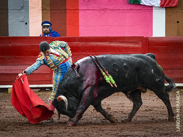 Miriam toreo bajo la llovizna