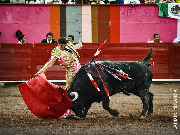 Esforzado en su primer turno