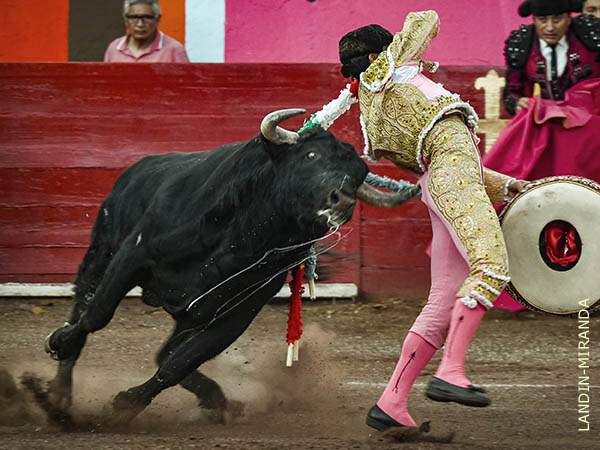 Ray�n en el gl�teo