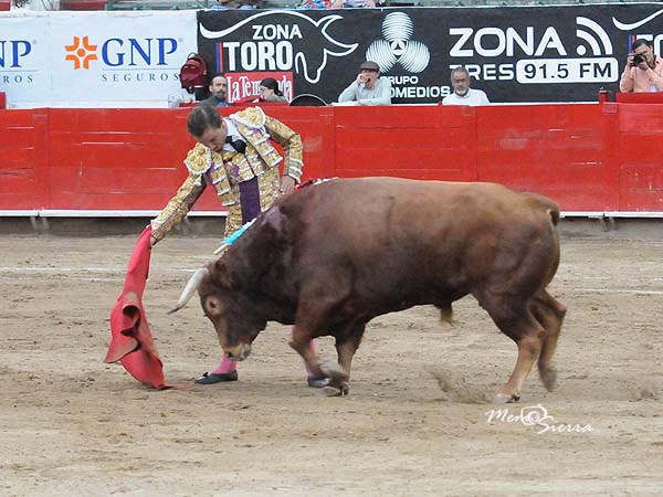 Supo llevarlo con mimo