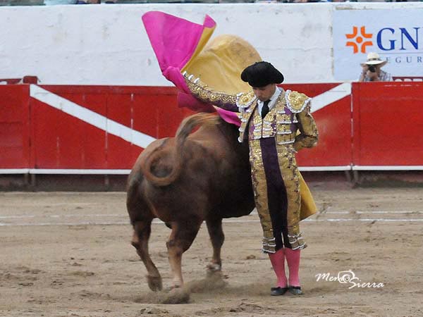 Las del maestro de Saltillo