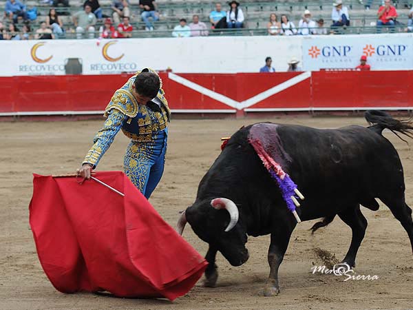 Enorme afici�n de Quitos II
