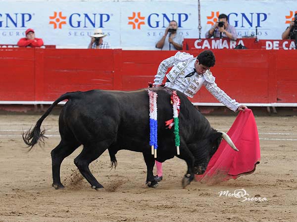 Luci� por el pit�n izquierdo