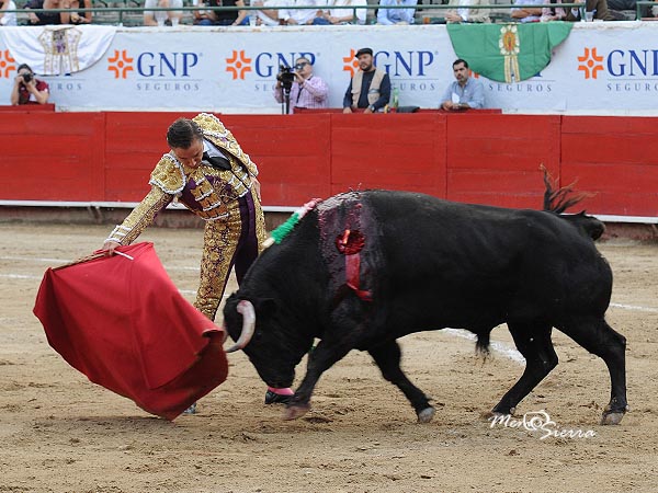 Pit�n derecho