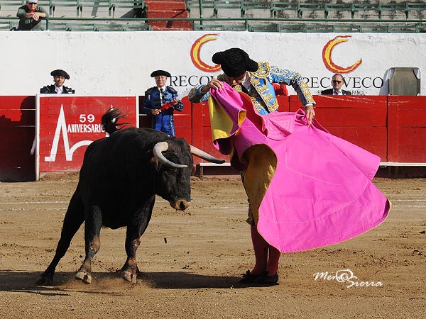 Variedad en los quites