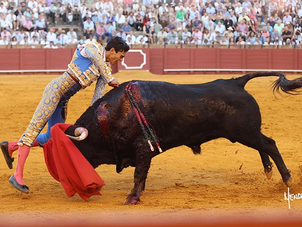 El mexicano en la suerte suprema