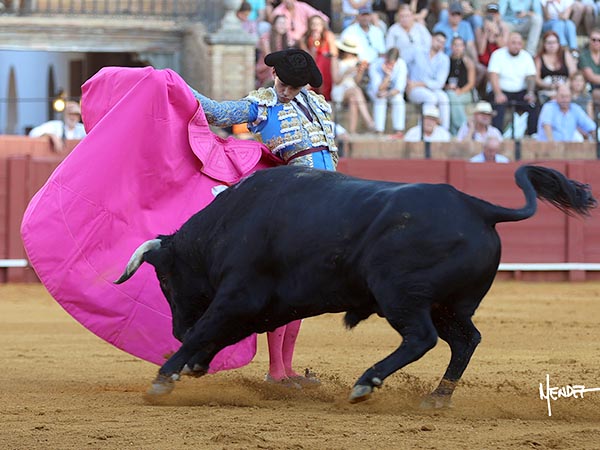 Turno de capote