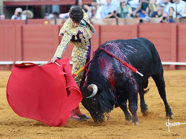 Pit�n derecho