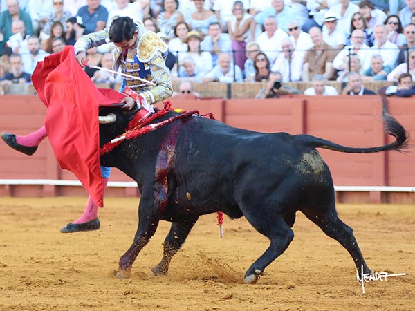 No pas� a mayores