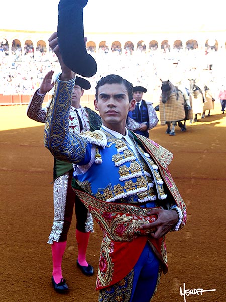 Protocolo taurino