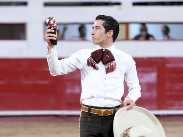 Armillita corta oreja con fuerza en MTY