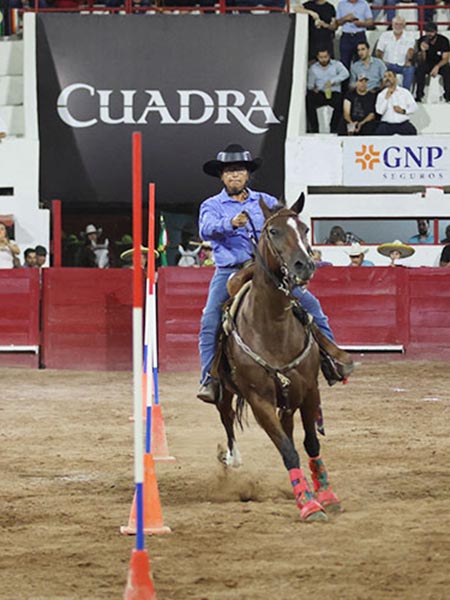 Interesantes pasajes de rodeo