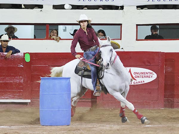 Doma norte�a