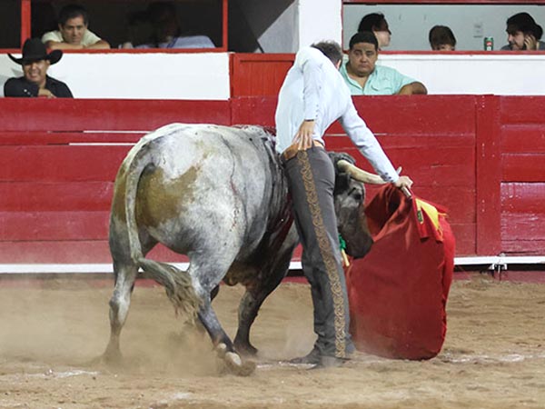 La cara alta