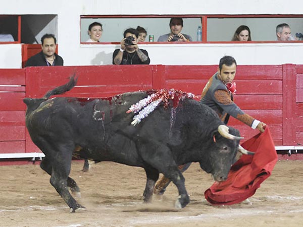 Tirando del negro