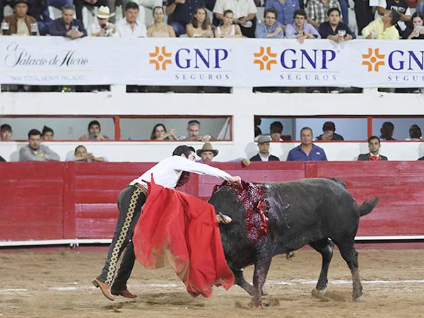 Estoconazo hasta las cintas