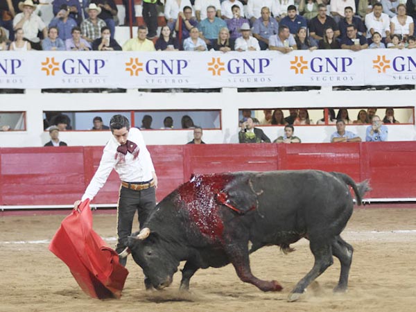 Reposo hidroc�lido