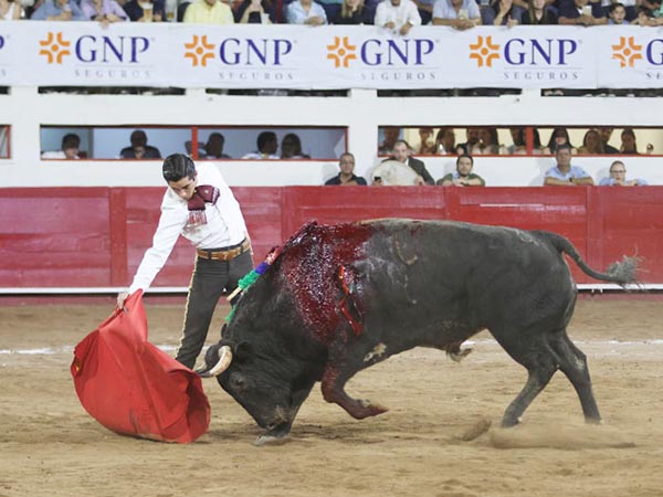 Templando al negro