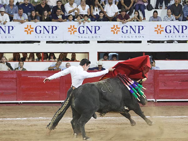 De pit�n a rabo