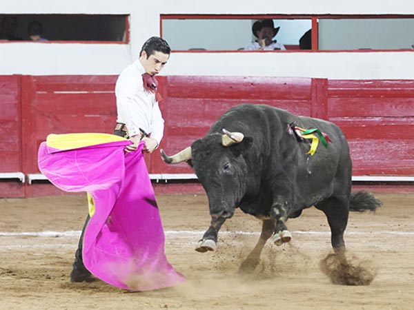 Armillita IV, torero artista
